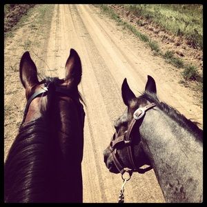 Meet your Posher, April