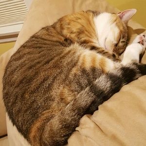 Meet your Posher, Jodi