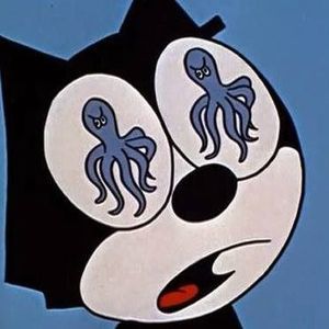 Meet your Posher, Felix