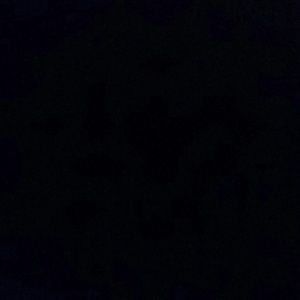 Meet your Posher, Stanley