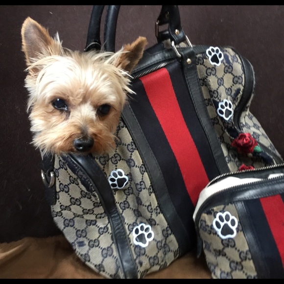 gucci dog bag