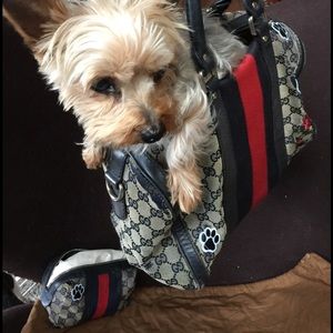 Gucci yorkie clothes Clearance