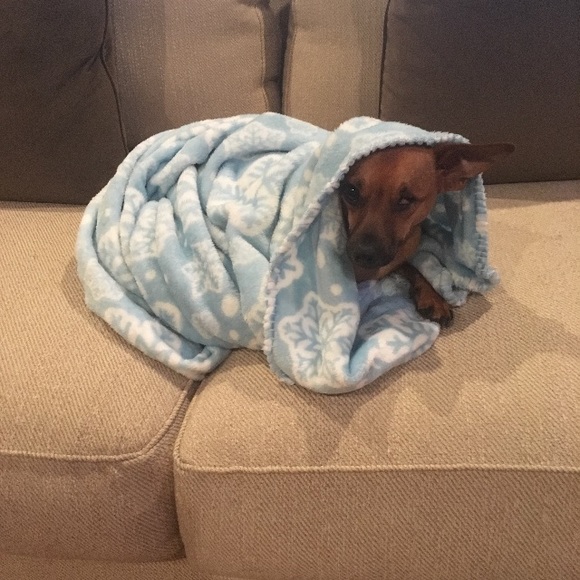 Meet your Posher, Brad - Picture 1 of 1