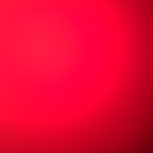 Meet your Posher, Paulette