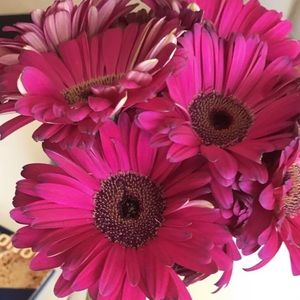 Meet your Posher, Russel