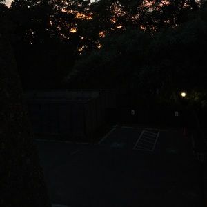 Meet your Posher, Abbie