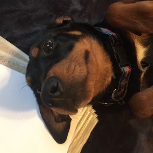 Special bundle for @coolmamee