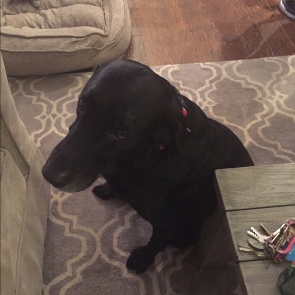 Meet your Posher, Leticia - Picture 1 of 1