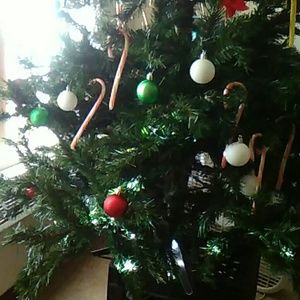 Meet your Posher, Dominique