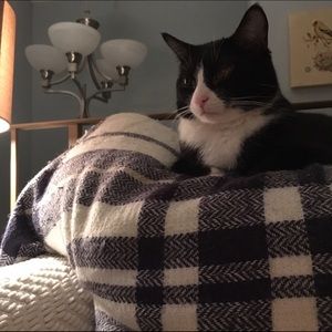 Meet your Posher, Lucia