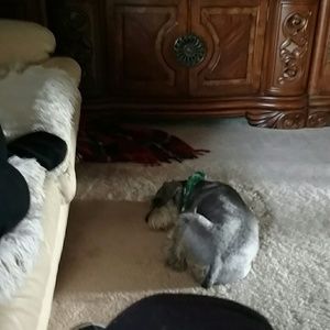 Meet your Posher, Cindy