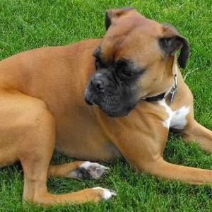 Meet your Posher, Kirsten