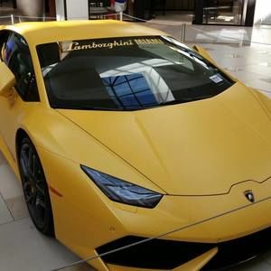 Meet your Posher, Jose