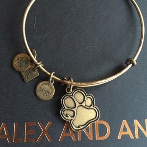 Alex and Ani Prints of Love charm bracelet
