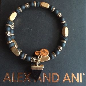 Alex and Ani Spike charm bracelet