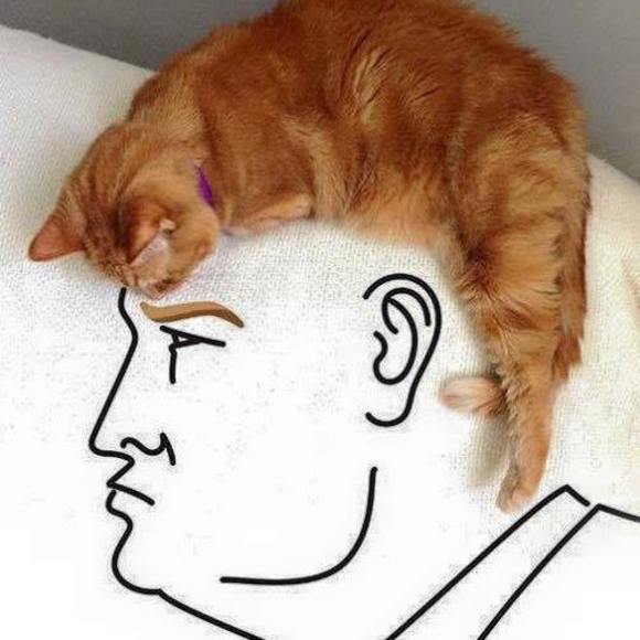 Meet your Posher, Deirdre - Picture 1 of 1