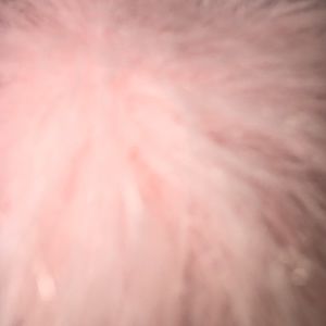 Meet your Posher, Dionna