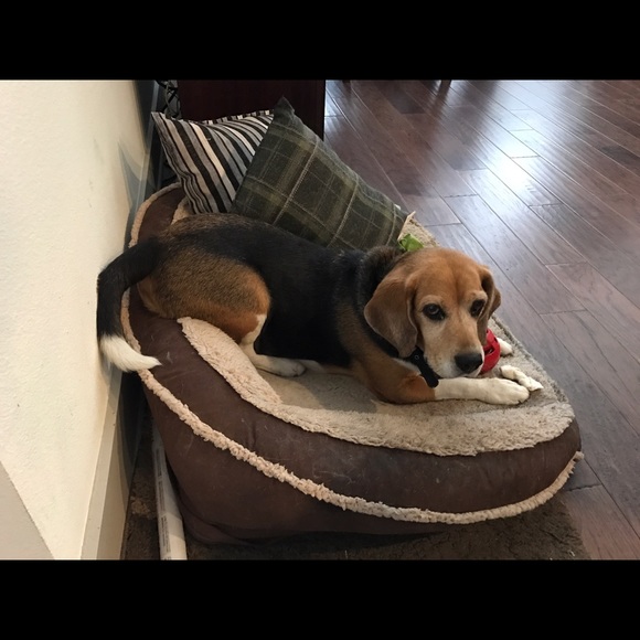 Meet your Posher, Alejandra - Picture 1 of 1