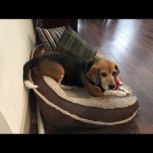 Meet your Posher, Alejandra