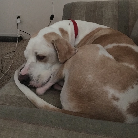 Meet your Posher, Michael - Picture 1 of 1