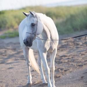 Meet your Posher, Michele