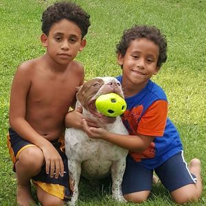 Meet your Posher, David