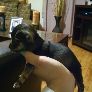 Meet your Posher, Franchesca