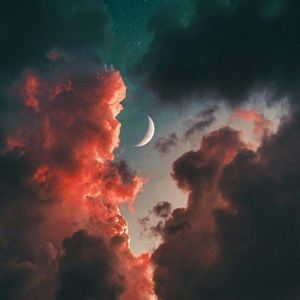 Meet your Posher, Audrey