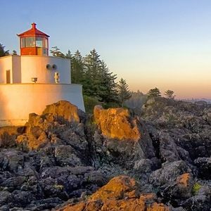 Meet your Posher, Robin