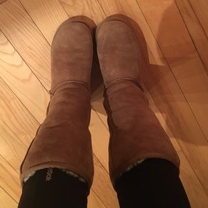 Chestnut uggs