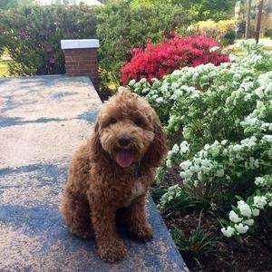 Meet your Posher, Julianne