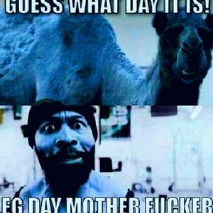 Meet your Posher, Reggie