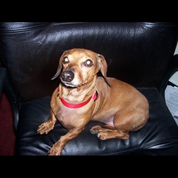 Meet your Posher, Christopher