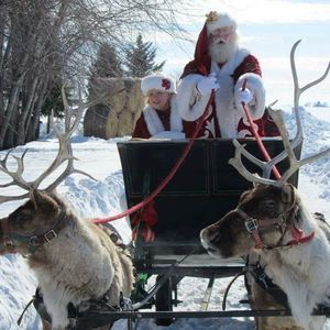 Meet your Posher, Joan