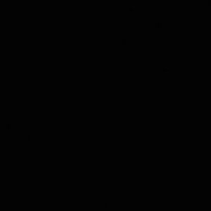 Meet your Posher, Omari