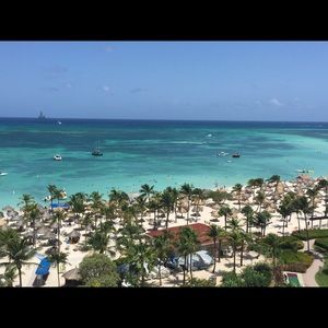 Meet your Posher, Domenica