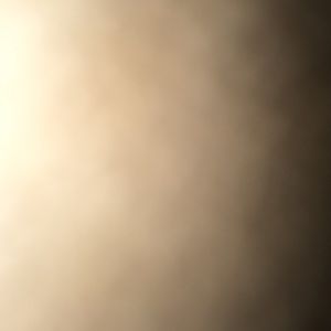 Meet your Posher, Terri