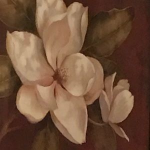 Meet your Posher, Hana