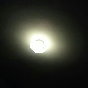 Meet your Posher, Bruce