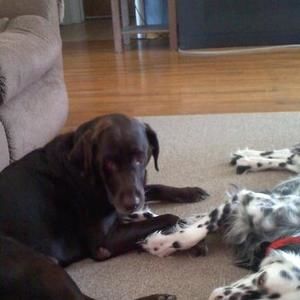 Meet your Posher, Ronda-rich