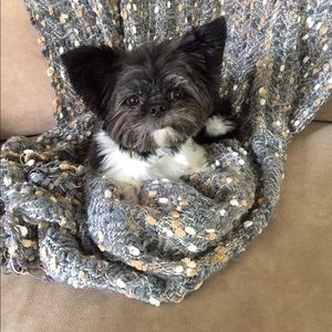 Meet your Posher, Joan