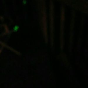 Meet your Posher, Doug