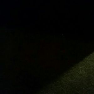 Meet your Posher, Reginald