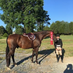 Meet your Posher, Anne