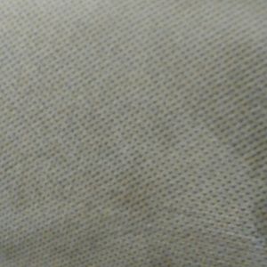 Meet your Posher, Teddy