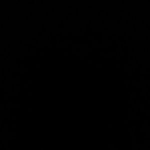 Meet your Posher, Raiden