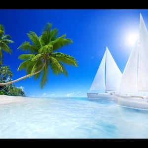 Meet your Posher, Mel