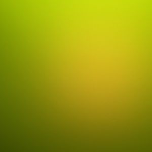 Meet your Posher, Maddy