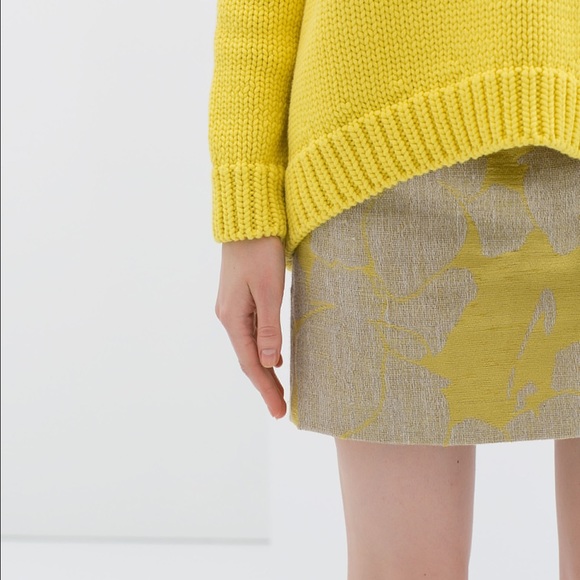 Zara Floral Jacquard Skirt