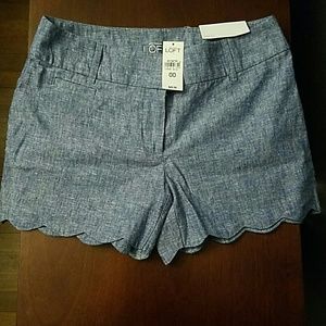Ann Taylor LOFT Summer Shorts